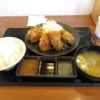 【からあげ専門店】『からやま』相模原店で”合盛り定食”を食べてみた