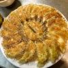 【春キャベツ餃子】絶対失敗しない餃子の焼き方を布教したい【ギョウザ】