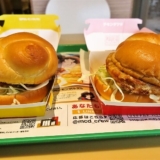 『マクドナルド』チキンタツタ瀬戸内レモンタルタル実食レビュー的な