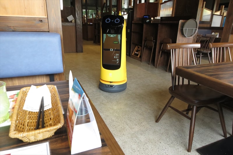 『ハンバーグレストラン びっくりドンキー町田旭町店』猫ちゃんロボット