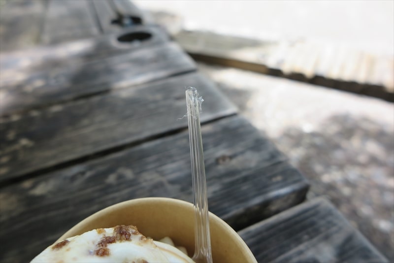 町田駅『ラーメンぎょうてん屋 町田店』バカ舌バニラソフト魅惑の背脂醤油トッピング7