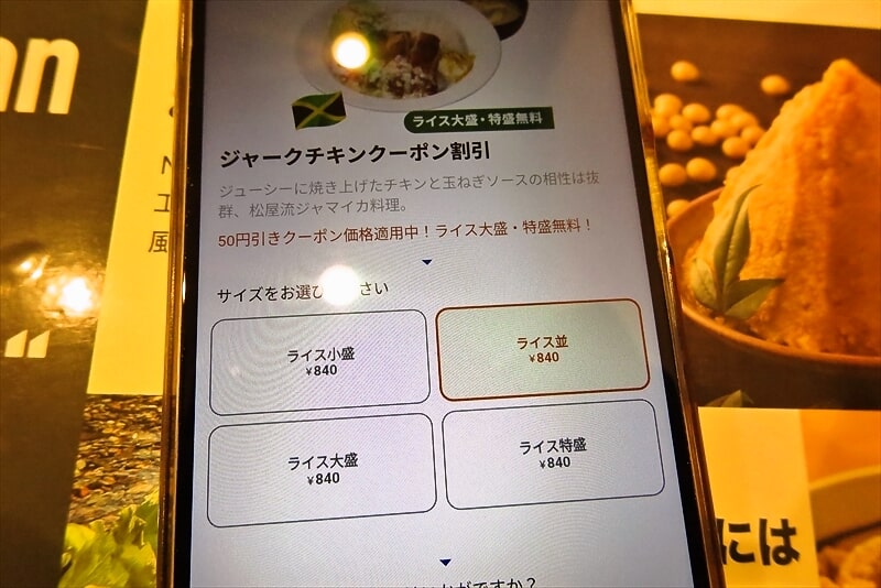 2025年『松屋』メニュー写真8