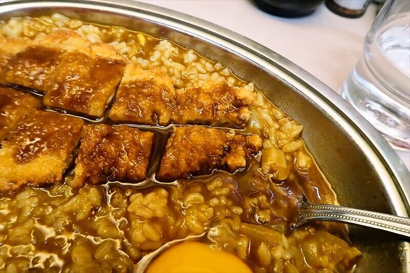 2026年 大阪市西心斎橋『ニューライト』セイロンカツ4